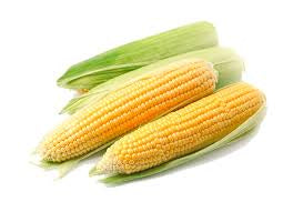 Corn on Cob ea