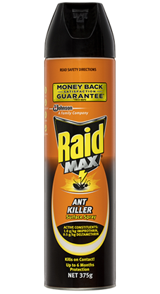 Raid Insect Killer Max Ant Killer Surface Spray 375g