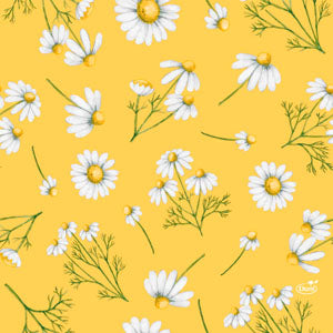 Duni Pretty Daisy Yellow 33cm 20pk