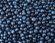 Platinum House Mountainvale Blueberries 500g