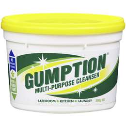 Gumption Paste Cleaner 500g