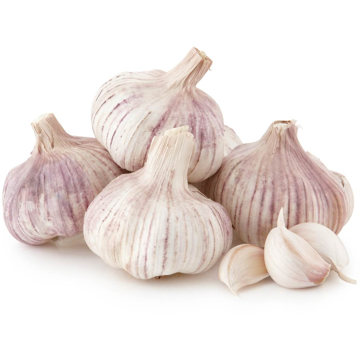 Garlic ea